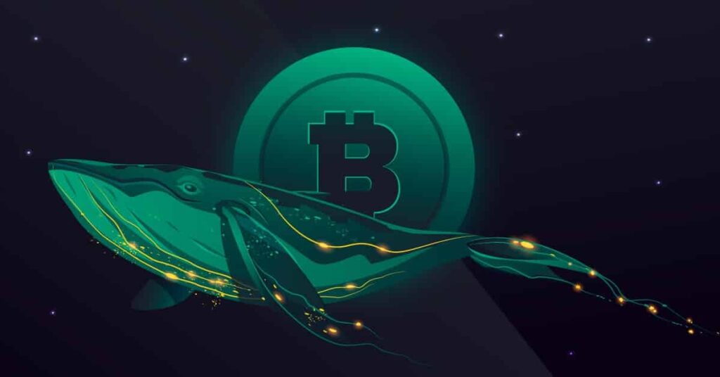 Bitcoin Whale Activity, Germany’s $3 Billion BTC Holdings on Radar